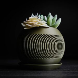 solis-planter